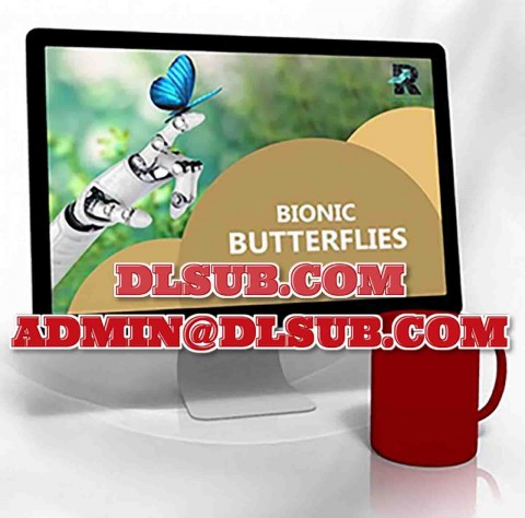Mockup image of Random Walk Trading - Bionic Butterflies e-learning materials, directional options trading techniques